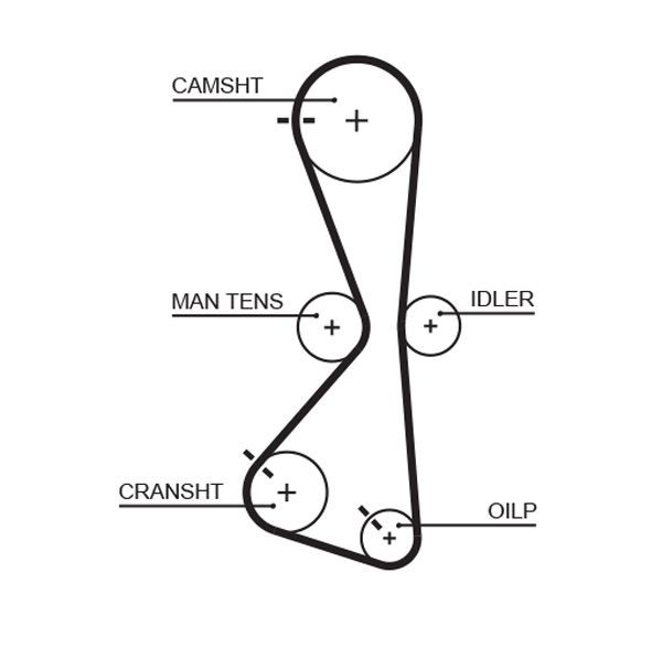 GATES T332RB: Ozubený remeň RPM Racing Timing Belt Poč. zubov: 122, 1162mm