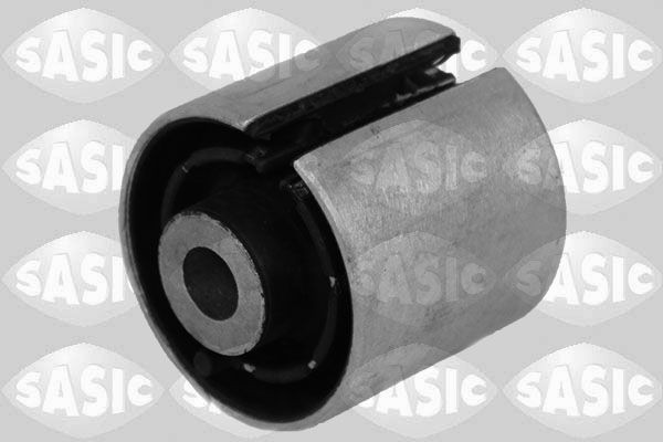 SASIC 2256177: Puks Tagasild, taga, all