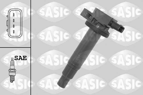 SASIC 9206063: Süütepool
