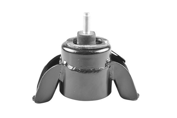 TEDGUM TED55519: Suporte, motor à frente, lado direito