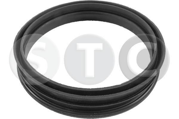 STC T447602: Garnitura, stut filtru combustibil