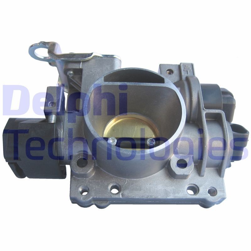 DELPHI AT10020-12B1: Drosselklapp