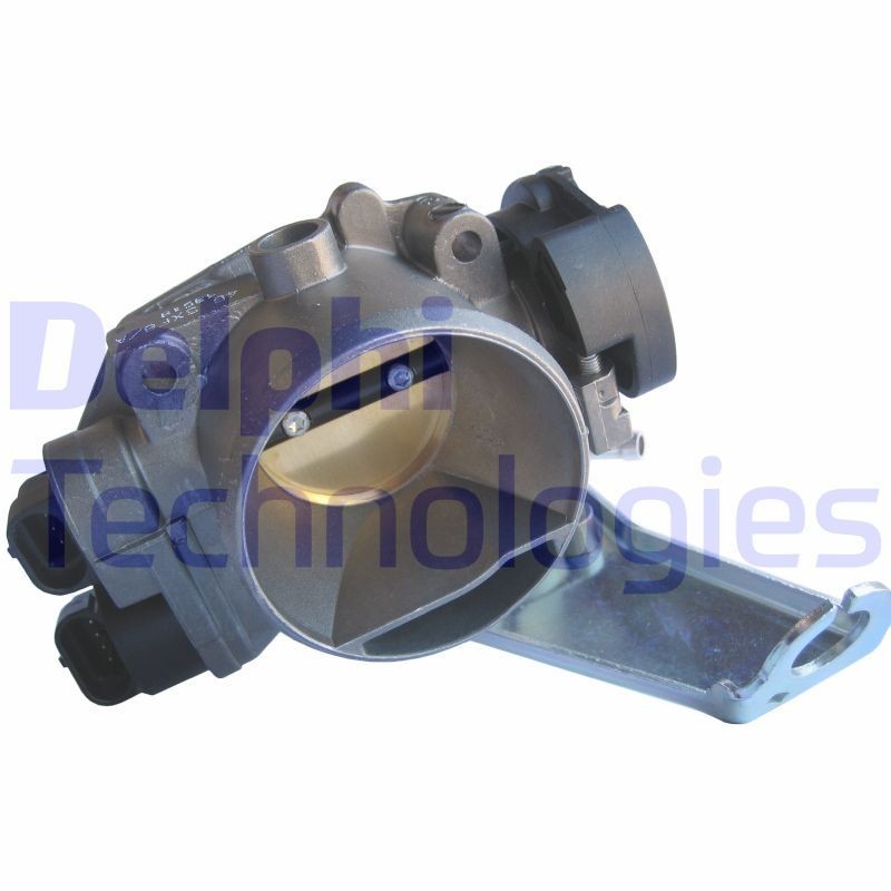 DELPHI AT10024-12B1: Drosselklapp