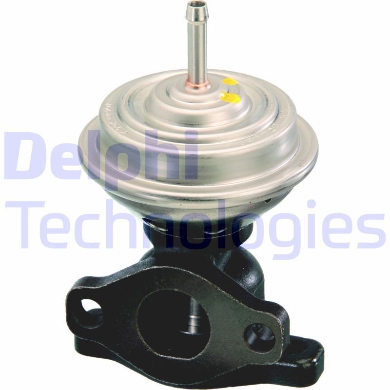 DELPHI EG10271-12B1: EGR-klapp
