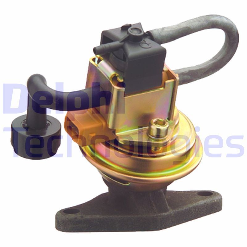 DELPHI EG10276-12B1: EGR-klapp