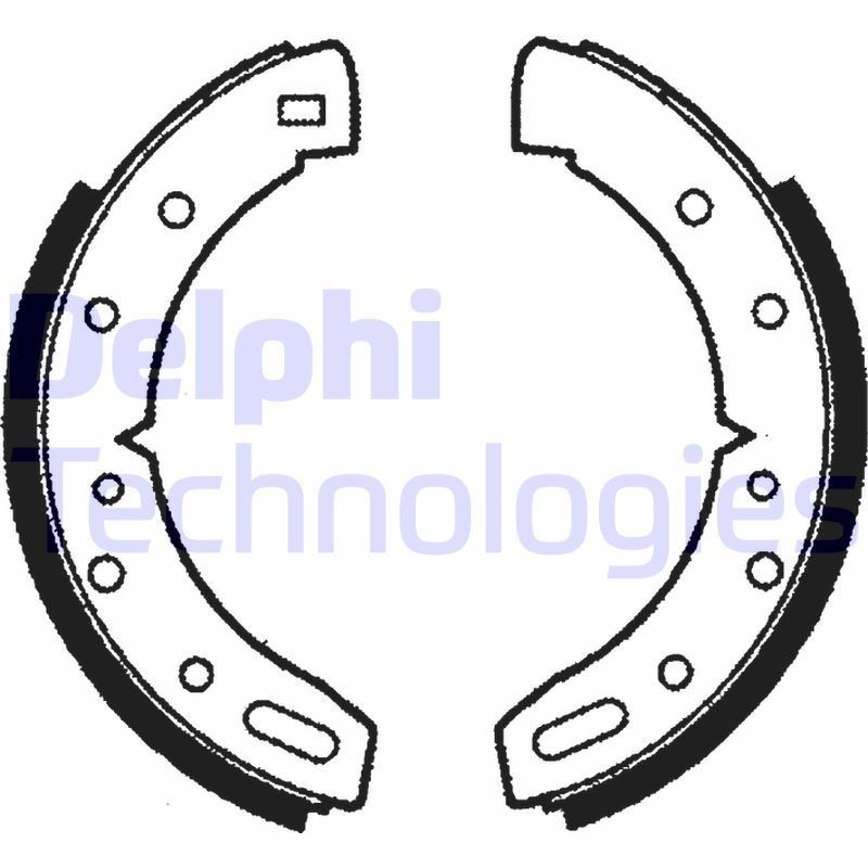 DELPHI LS1037: Piduriklotside komplekt
