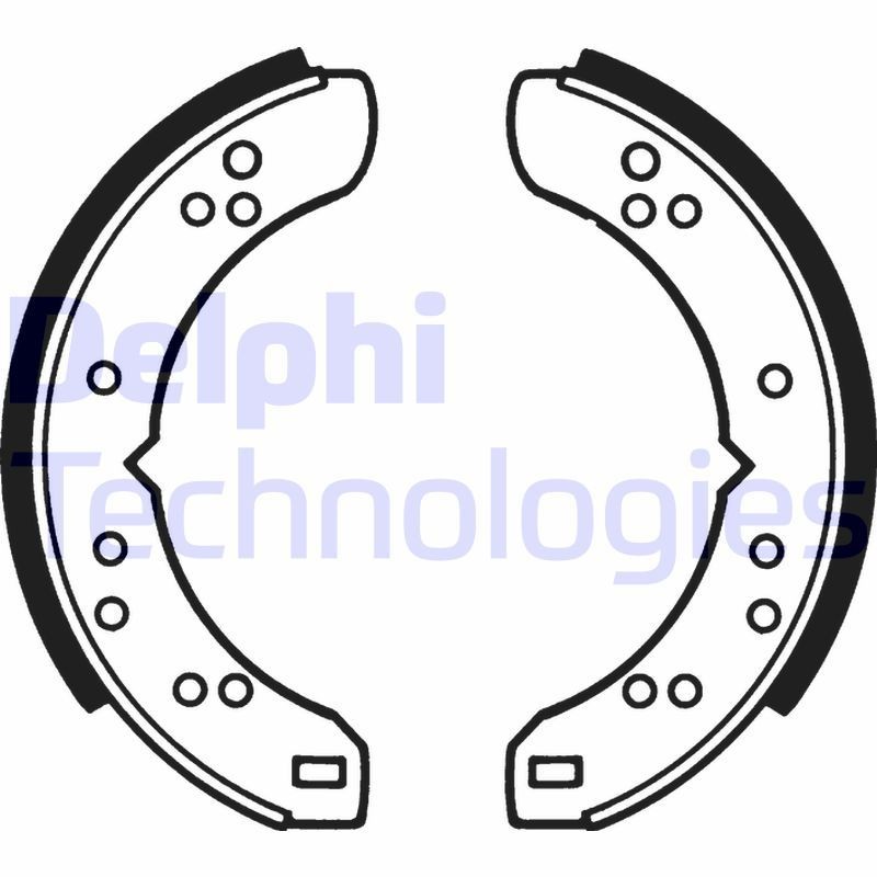 DELPHI LS1040: Piduriklotside komplekt