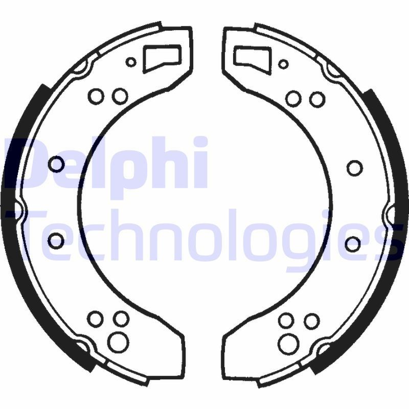 DELPHI LS1050: Piduriklotside komplekt