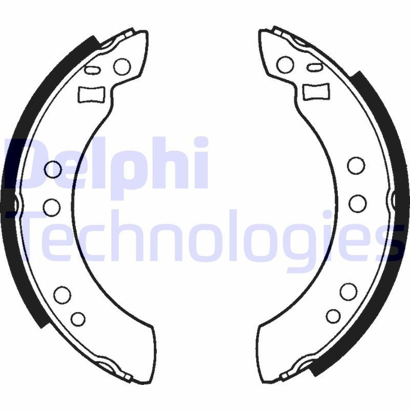 DELPHI LS1173: Piduriklotside komplekt