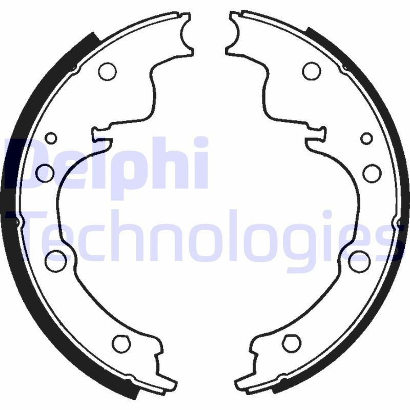 DELPHI LS1195: Piduriklotside komplekt