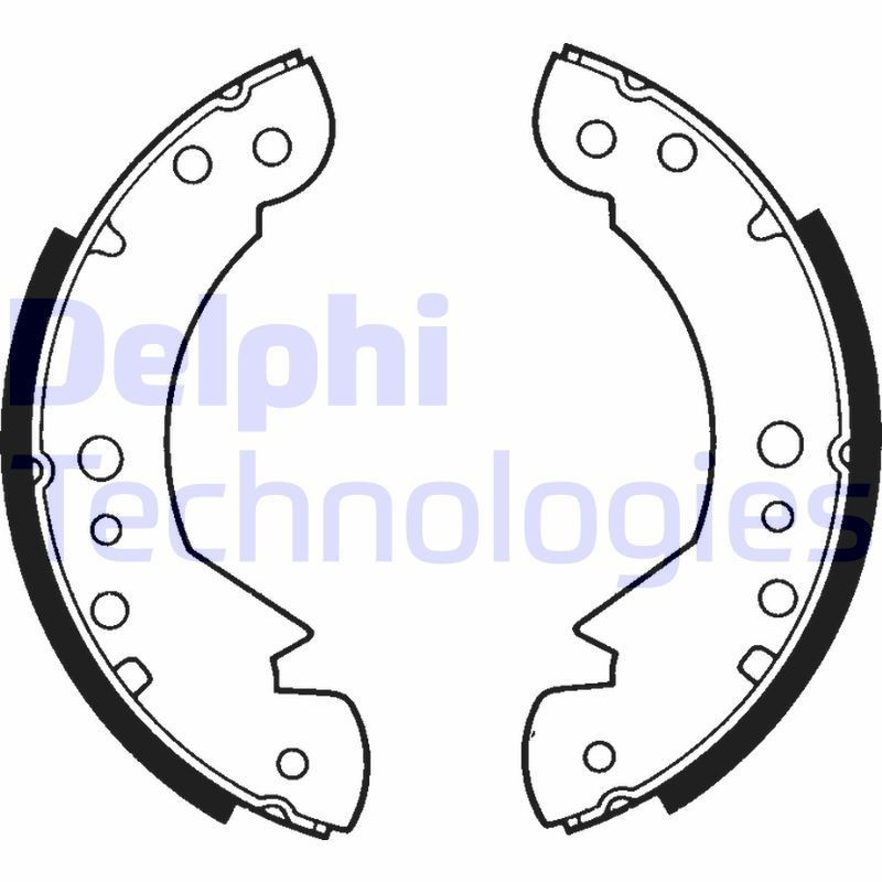 DELPHI LS1203: Piduriklotside komplekt
