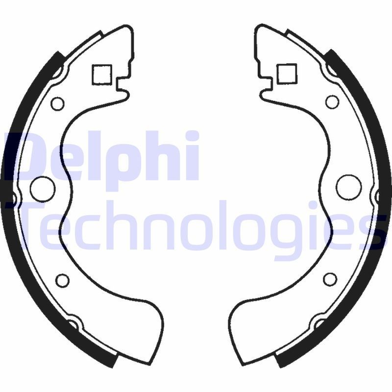 DELPHI LS1213: Piduriklotside komplekt