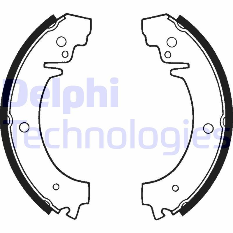DELPHI LS1219: Piduriklotside komplekt