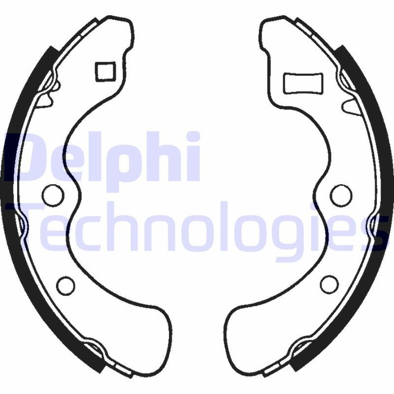 DELPHI LS1240: Piduriklotside komplekt