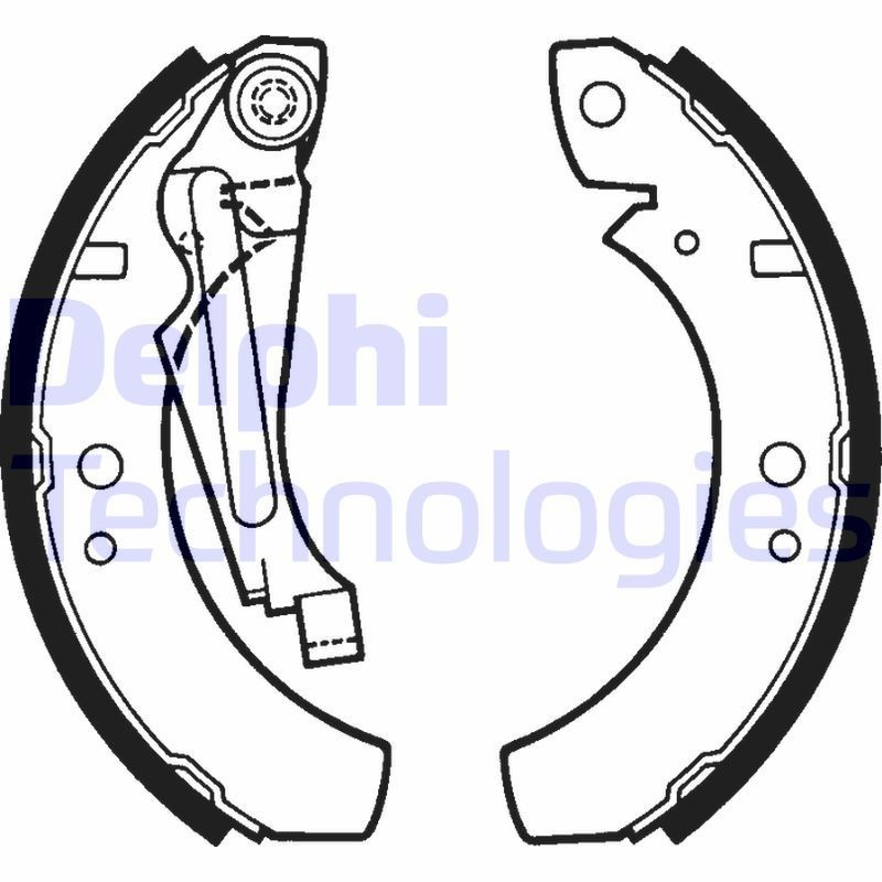 DELPHI LS1256: Piduriklotside komplekt