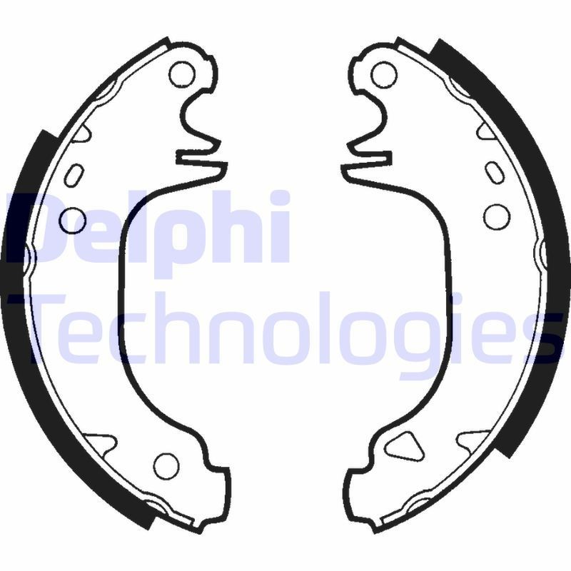 DELPHI LS1273: Set saboti frana