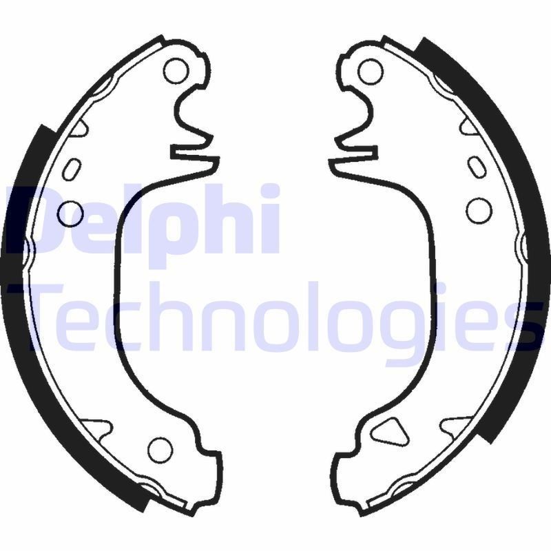DELPHI LS1293: Piduriklotside komplekt