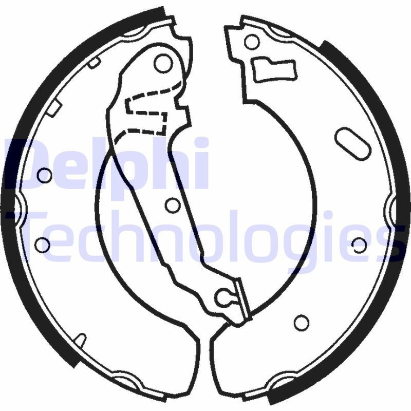 DELPHI LS1298: Piduriklotside komplekt