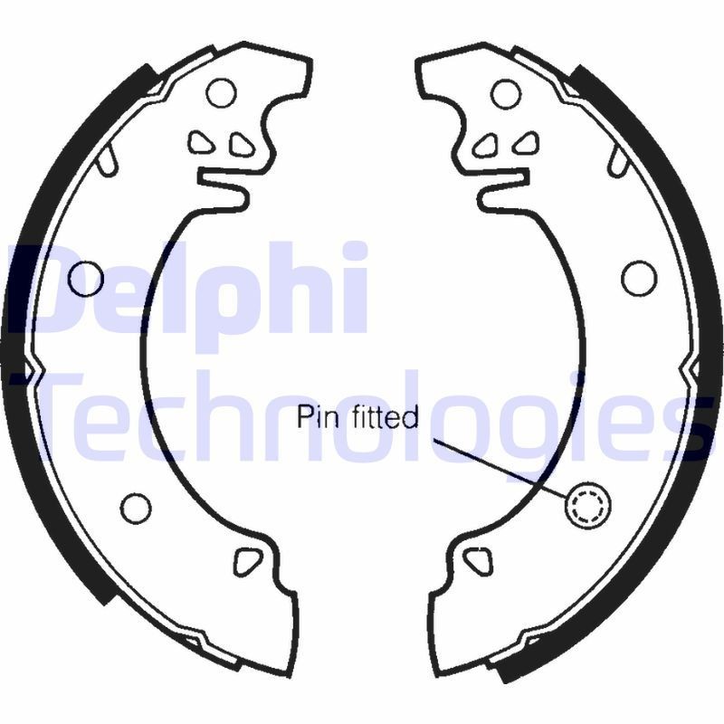 DELPHI LS1303: Piduriklotside komplekt