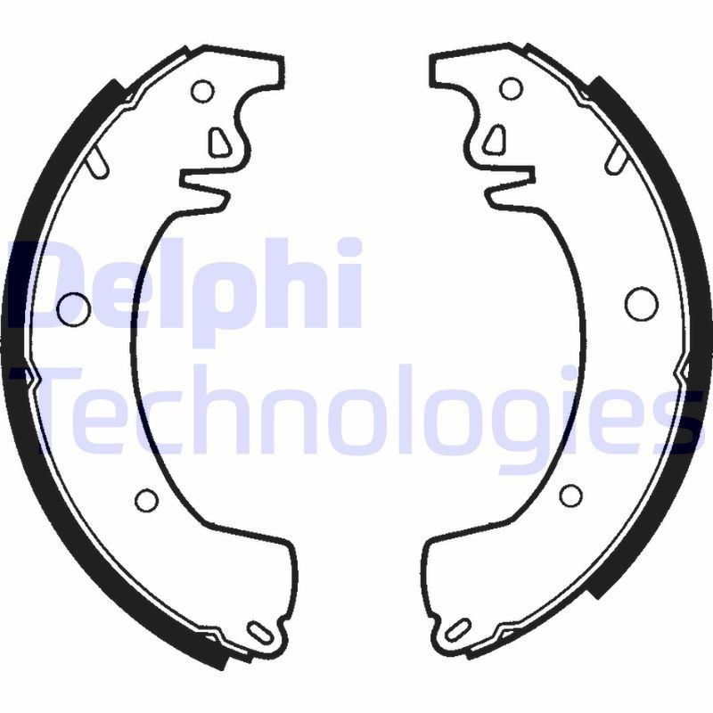 DELPHI LS1306: Piduriklotside komplekt