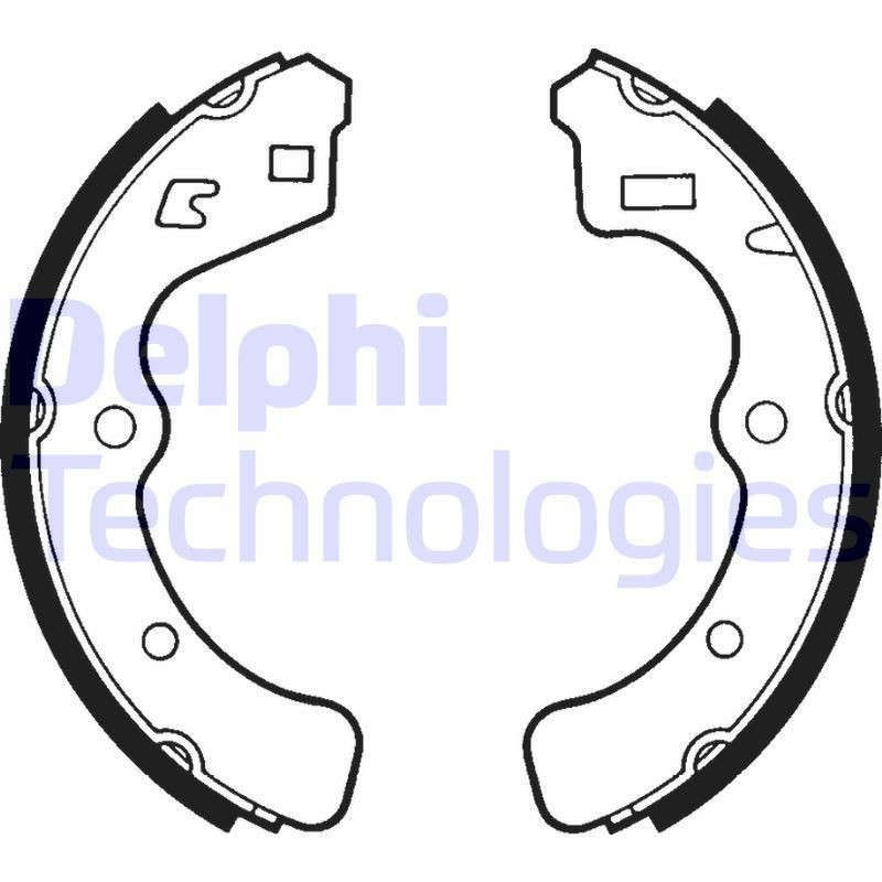 DELPHI LS1316: Piduriklotside komplekt