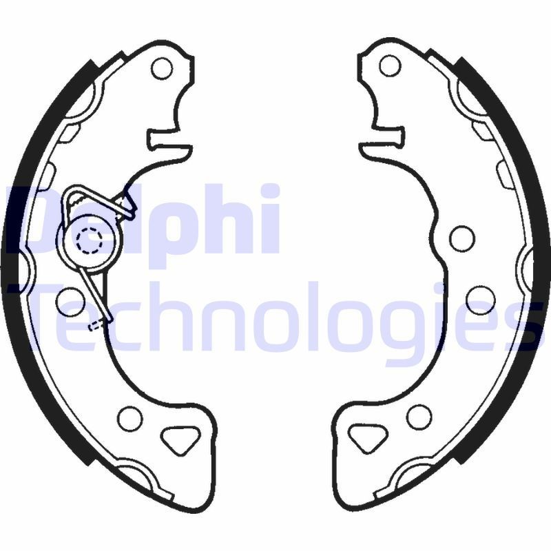 DELPHI LS1319: Piduriklotside komplekt