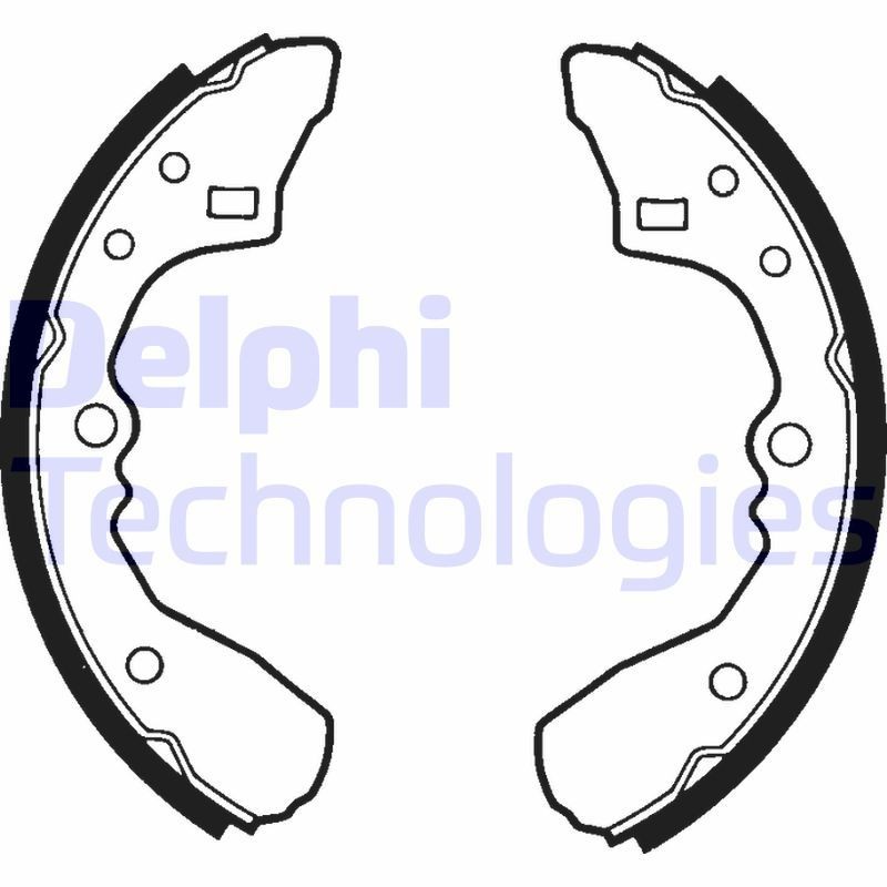 DELPHI LS1324: Piduriklotside komplekt