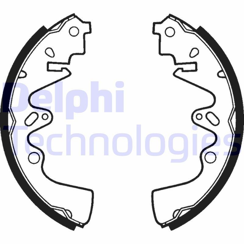 DELPHI LS1325: Piduriklotside komplekt