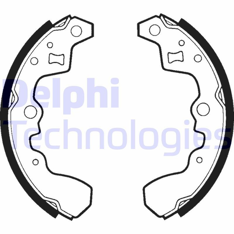 DELPHI LS1338: Remschoenset