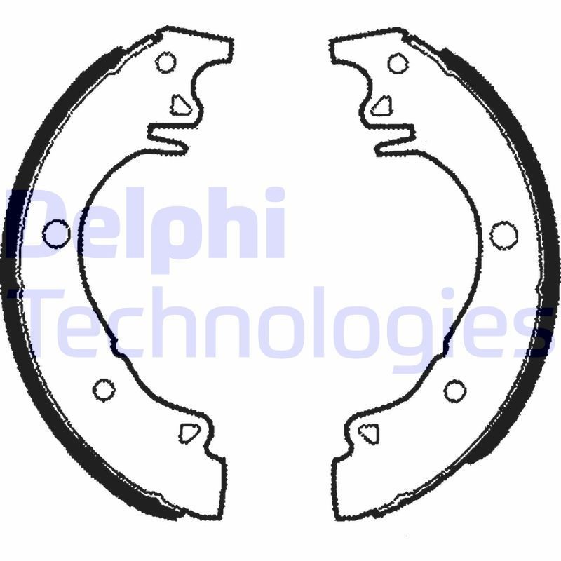 DELPHI LS1342: Piduriklotside komplekt
