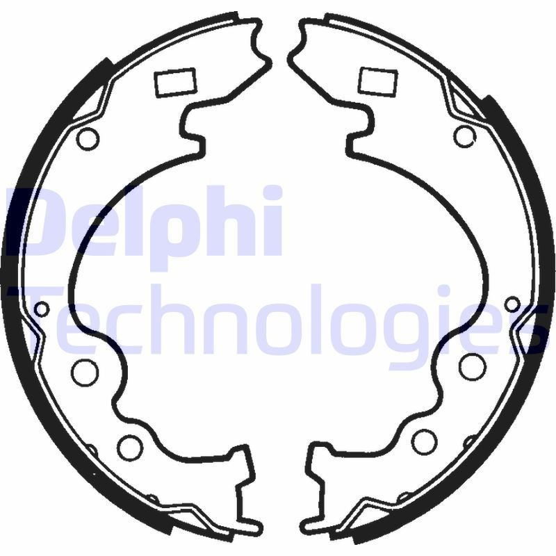 DELPHI LS1354: Piduriklotside komplekt