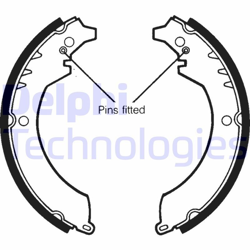 DELPHI LS1359: Piduriklotside komplekt