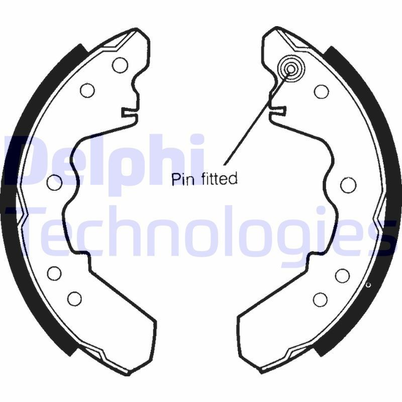 DELPHI LS1365: Piduriklotside komplekt