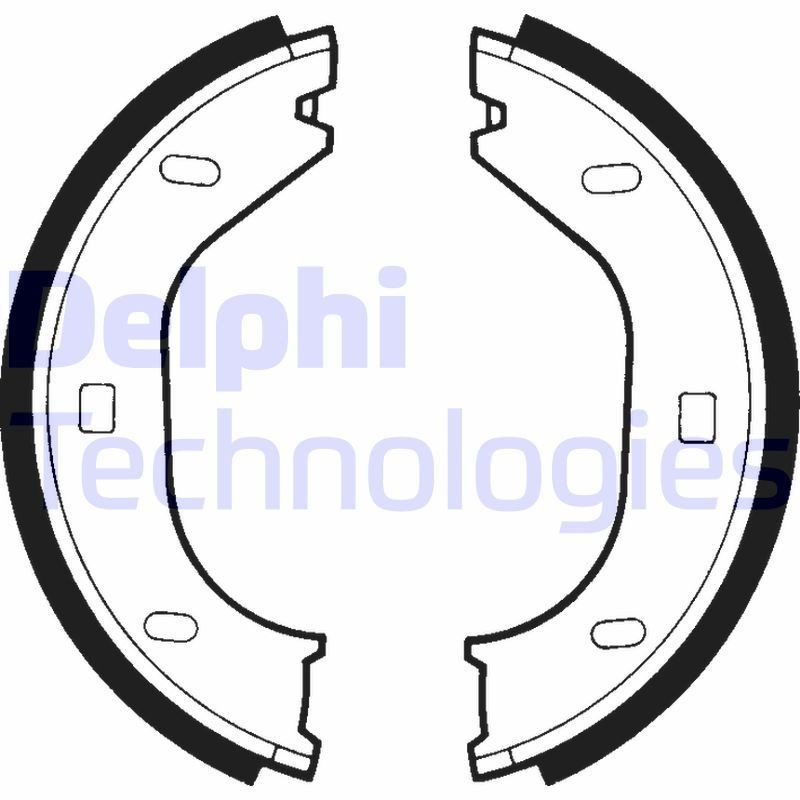 DELPHI LS1370: Piduriklotside komplekt, seisupidur