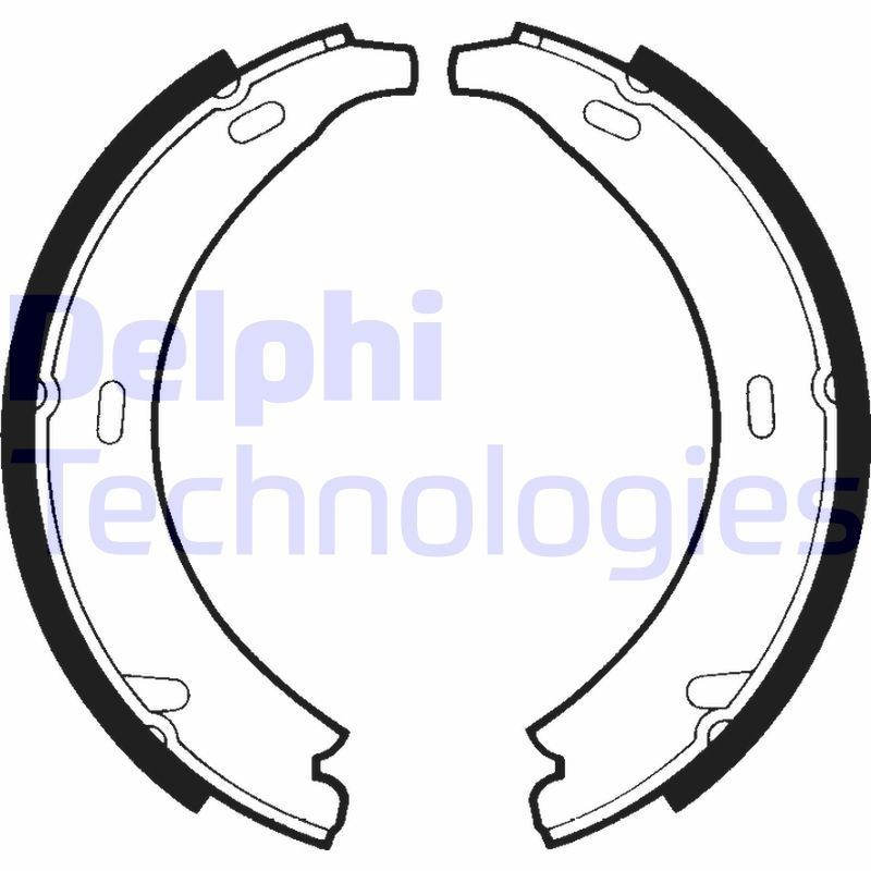 DELPHI LS1371: Piduriklotside komplekt, seisupidur