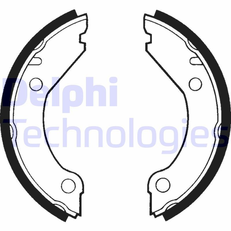 DELPHI LS1375: Piduriklotside komplekt, seisupidur