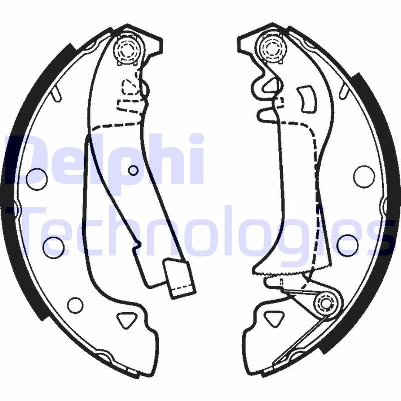 DELPHI LS1395: Piduriklotside komplekt