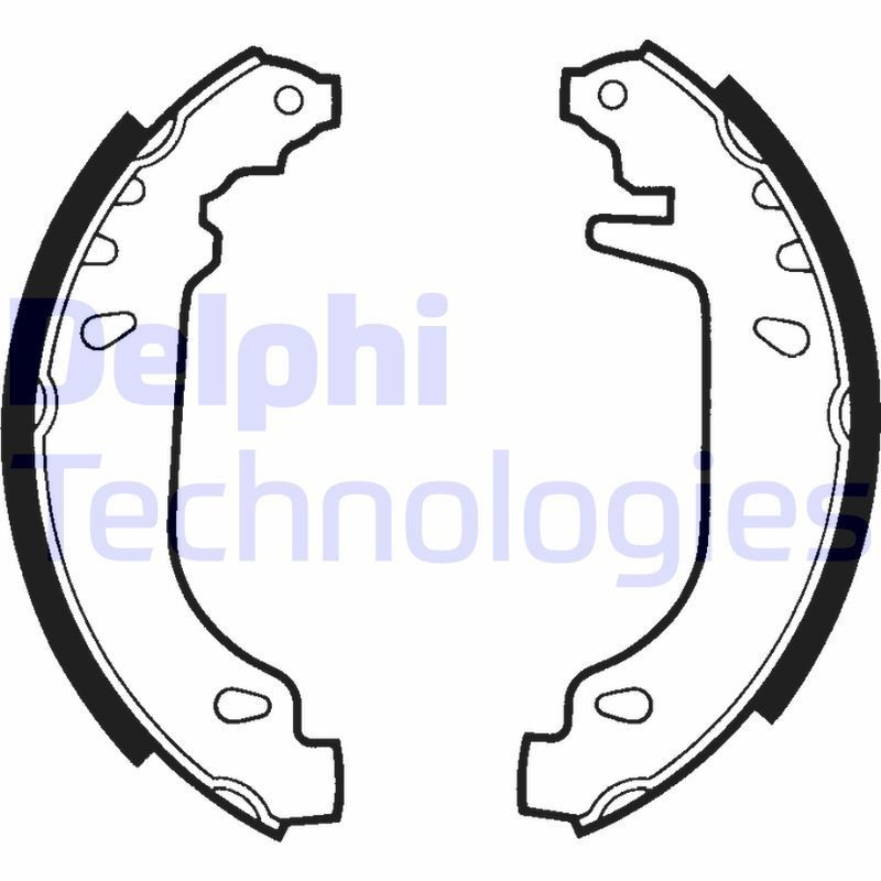 DELPHI LS1404: Piduriklotside komplekt