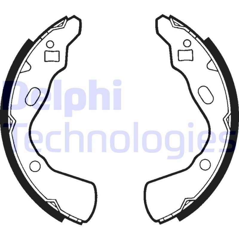 DELPHI LS1437: Piduriklotside komplekt