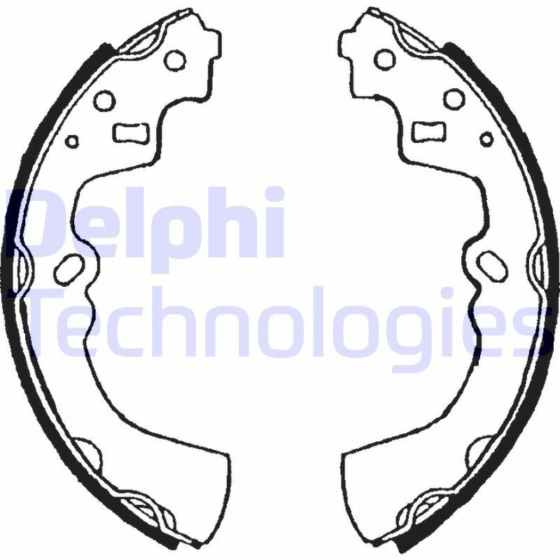 DELPHI LS1528: Piduriklotside komplekt