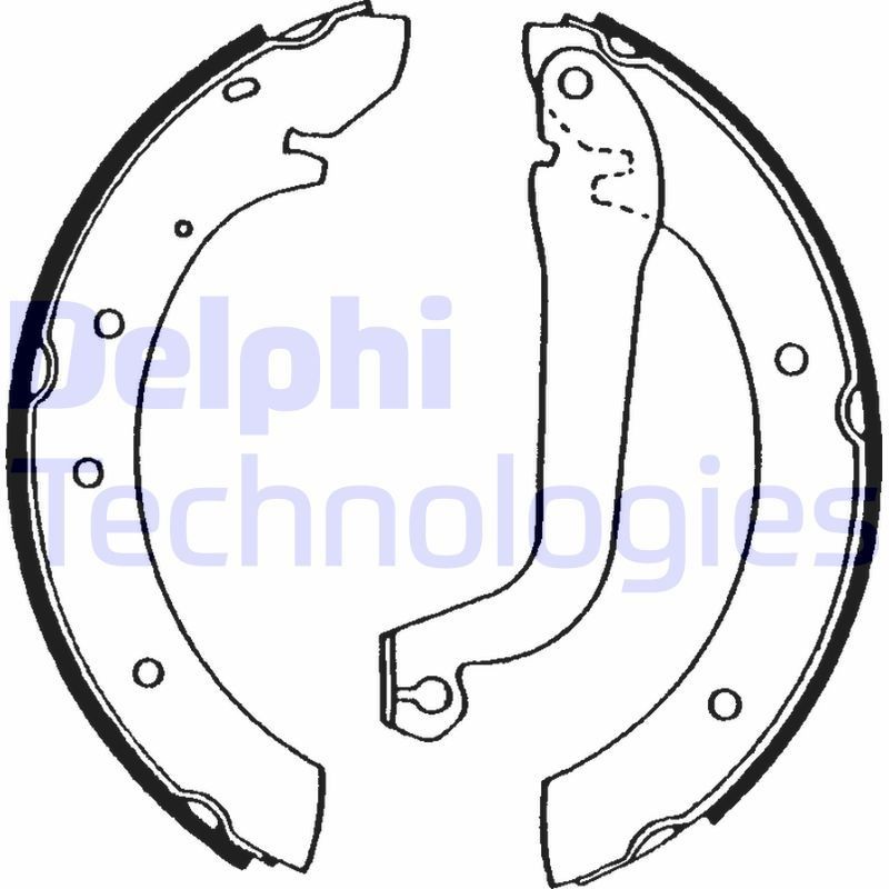 DELPHI LS1570: Piduriklotside komplekt