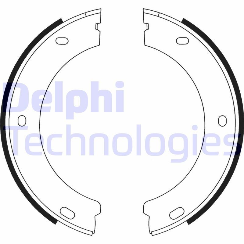 DELPHI LS1597: Piduriklotside komplekt, seisupidur