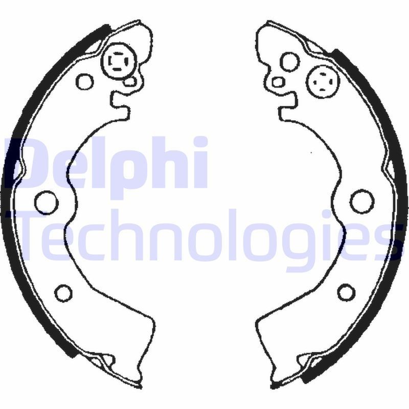 DELPHI LS1650: Piduriklotside komplekt