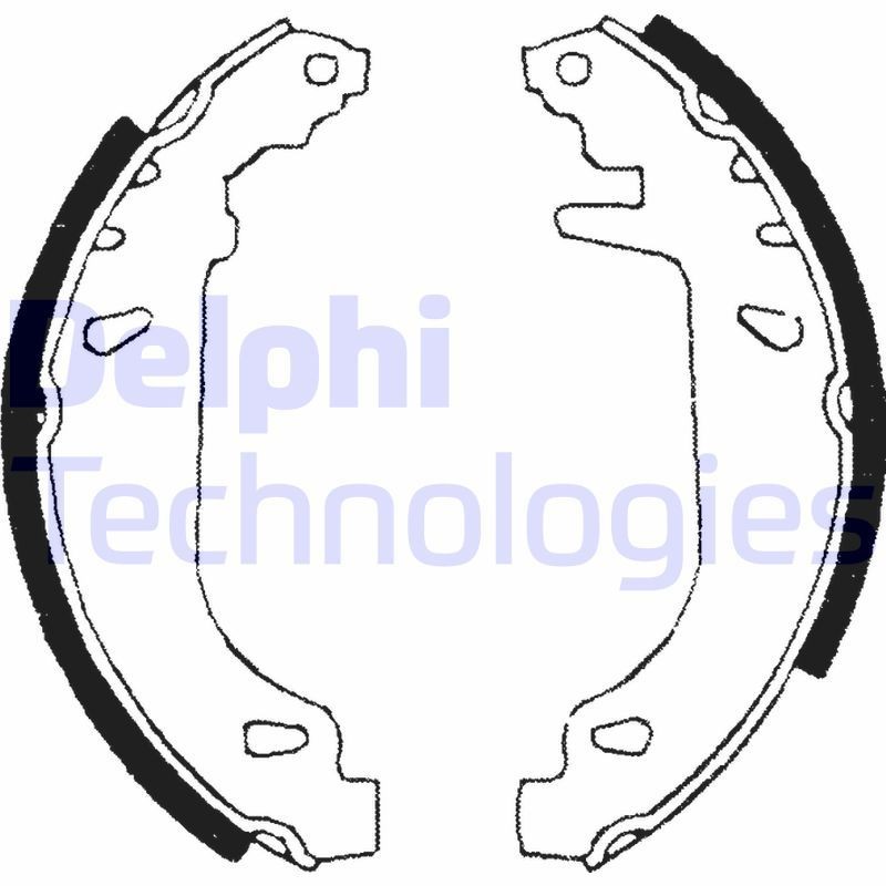 DELPHI LS1681: Piduriklotside komplekt