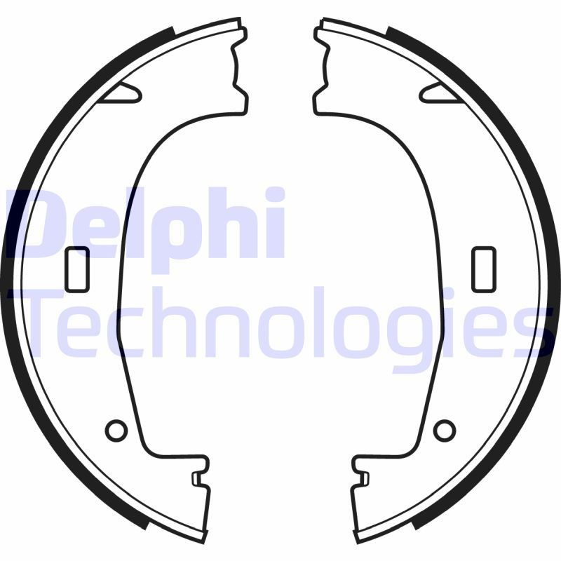 DELPHI LS1704: Piduriklotside komplekt, seisupidur