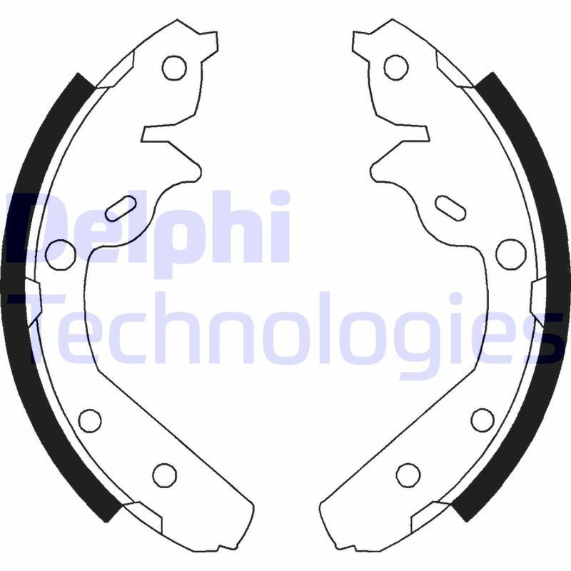 DELPHI LS1793: Piduriklotside komplekt