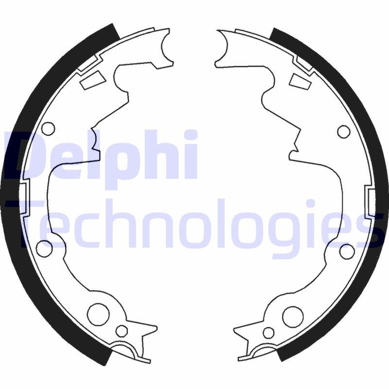 DELPHI LS1800: Piduriklotside komplekt
