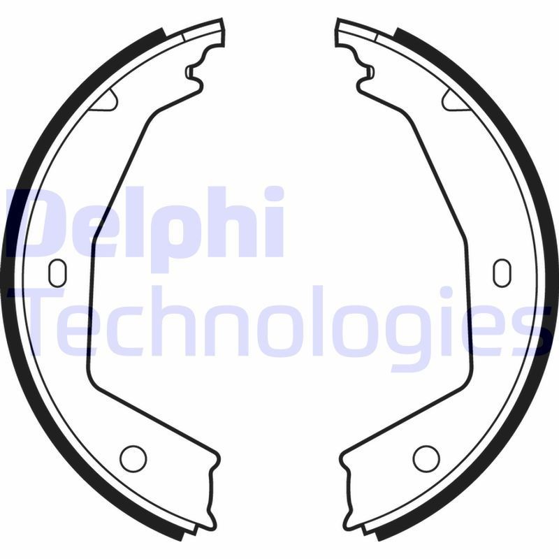 DELPHI LS1873: Piduriklotside komplekt, seisupidur