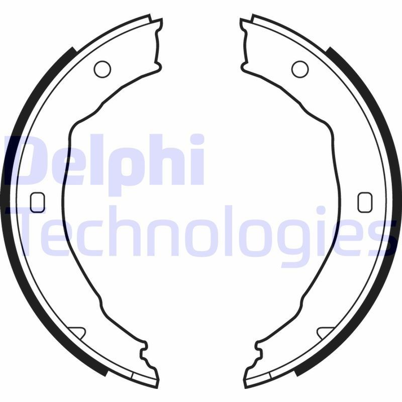 DELPHI LS1881: Piduriklotside komplekt, seisupidur