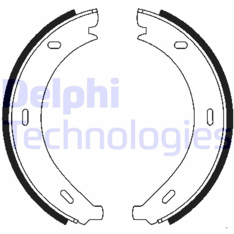 DELPHI LS1902: Piduriklotside komplekt, seisupidur
